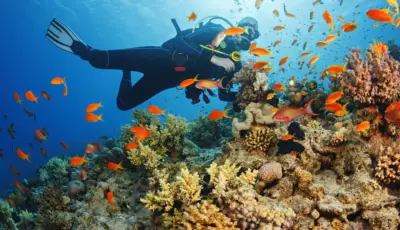 Alanya Diving Tour Tursay Travel 12