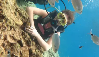 Alanya Diving Tour Tursay Travel 3