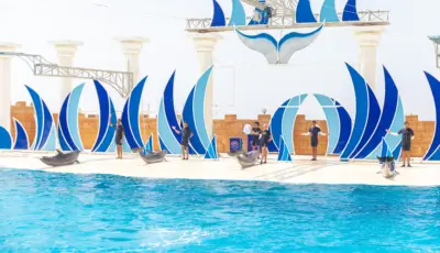 Alanya Dolphin Show Tour Tursay Travel 5