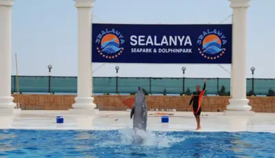 Alanya Dolphin Show Tour Tursay Travel 8