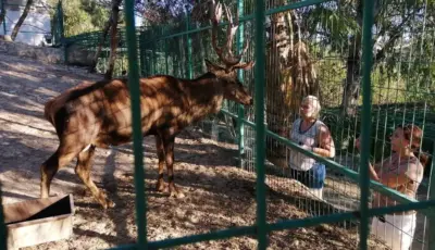 Alanya Green Canyon Cabrio Safari Tour Tursay Travel 4 1