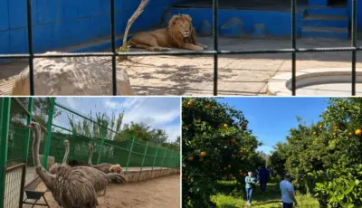 Alanya Green Canyon Cabrio Safari and Lion Park Tour Tursay Travel 2