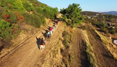 Alanya Horse Riding Tour Tursay Travel 11