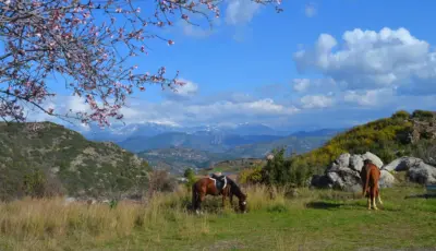 Alanya Horse Riding Tour Tursay Travel 12