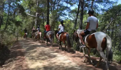 Alanya Horse Riding Tour Tursay Travel 5