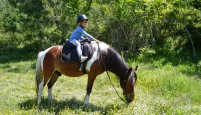 Alanya Horse Riding Tour Tursay Travel 6