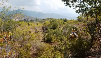 Alanya Horse Riding Tour Tursay Travel 7