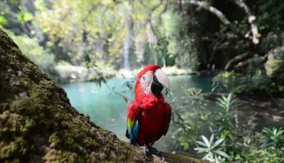 Side Manavgat Hidden Heaven Tour From Alanya Tursay Travel 7