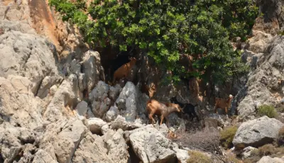 Alanya Catamaran Boat Tour - Tursay Travel