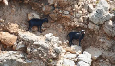 Alanya Catamaran Boat Tour - Tursay Travel