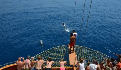Alanya Catamaran Boat Tour - Tursay Travel