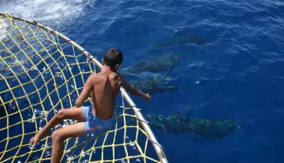 Alanya Catamaran Boat Tour - Tursay Travel