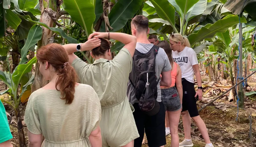 Gazipaşa Delik Sea and King Bay Tour from Alanya - Tursay Travel