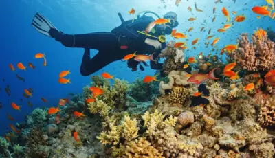 Side Diving Tour Tursay Travel 9