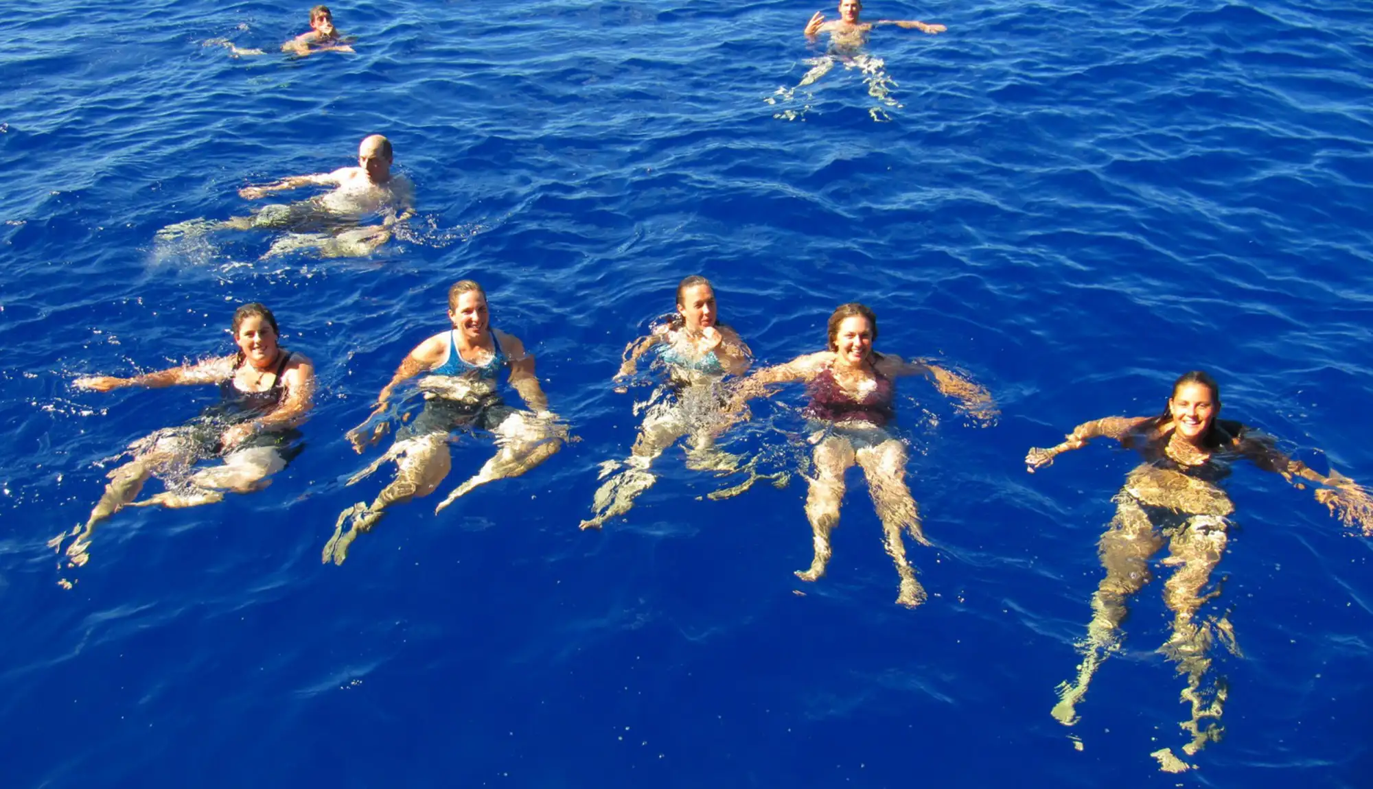 Side Dolphin Island Boat Tour - Image 7