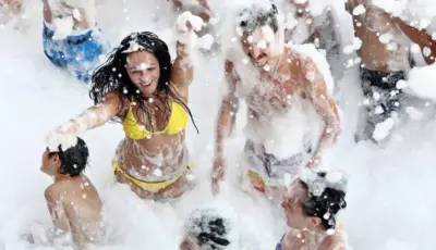 Side Dolphin Island Boat Tour Tursay Travel 8