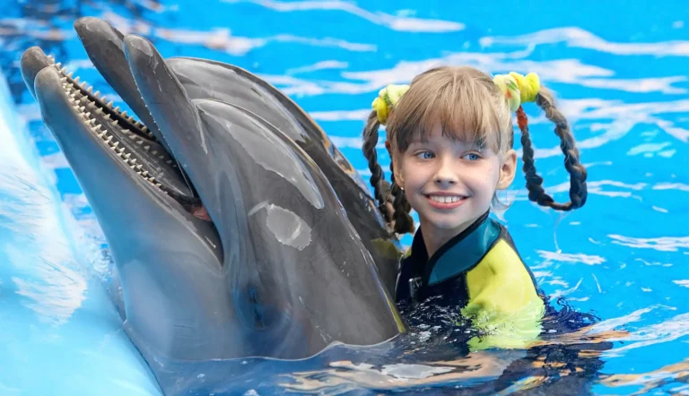 Side Dolphin Show Tour