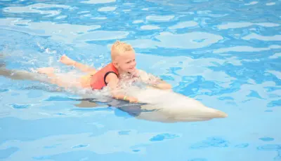 Side Dolphin Show Tour Tursay Travel 12