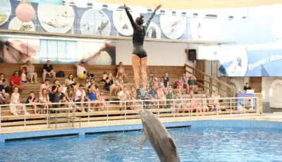 Side Dolphin Show Tour Tursay Travel 13