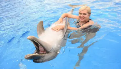 Side Dolphin Show Tour Tursay Travel 16