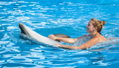 Side Dolphin Show Tour Tursay Travel 5