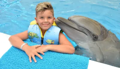 Side Dolphin Show Tour Tursay Travel 7