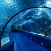 Antalya Aquarium Tour from Belek Tursay Travel 1