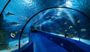Antalya Aquarium Tour from Belek