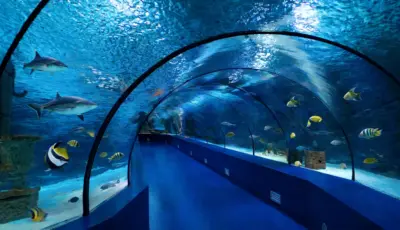 Antalya Aquarium Tour from Belek