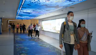 Antalya Aquarium Tour from Belek Tursay Travel 11