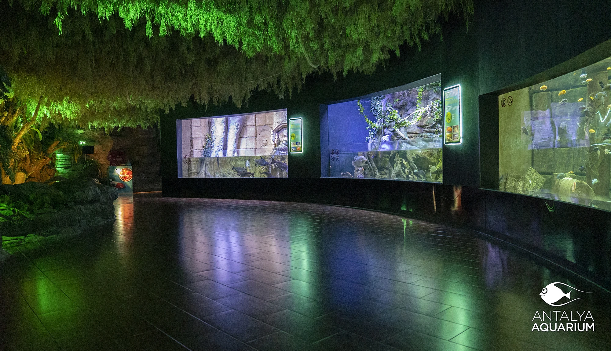 Antalya Aquarium Tour from Belek - Image 19