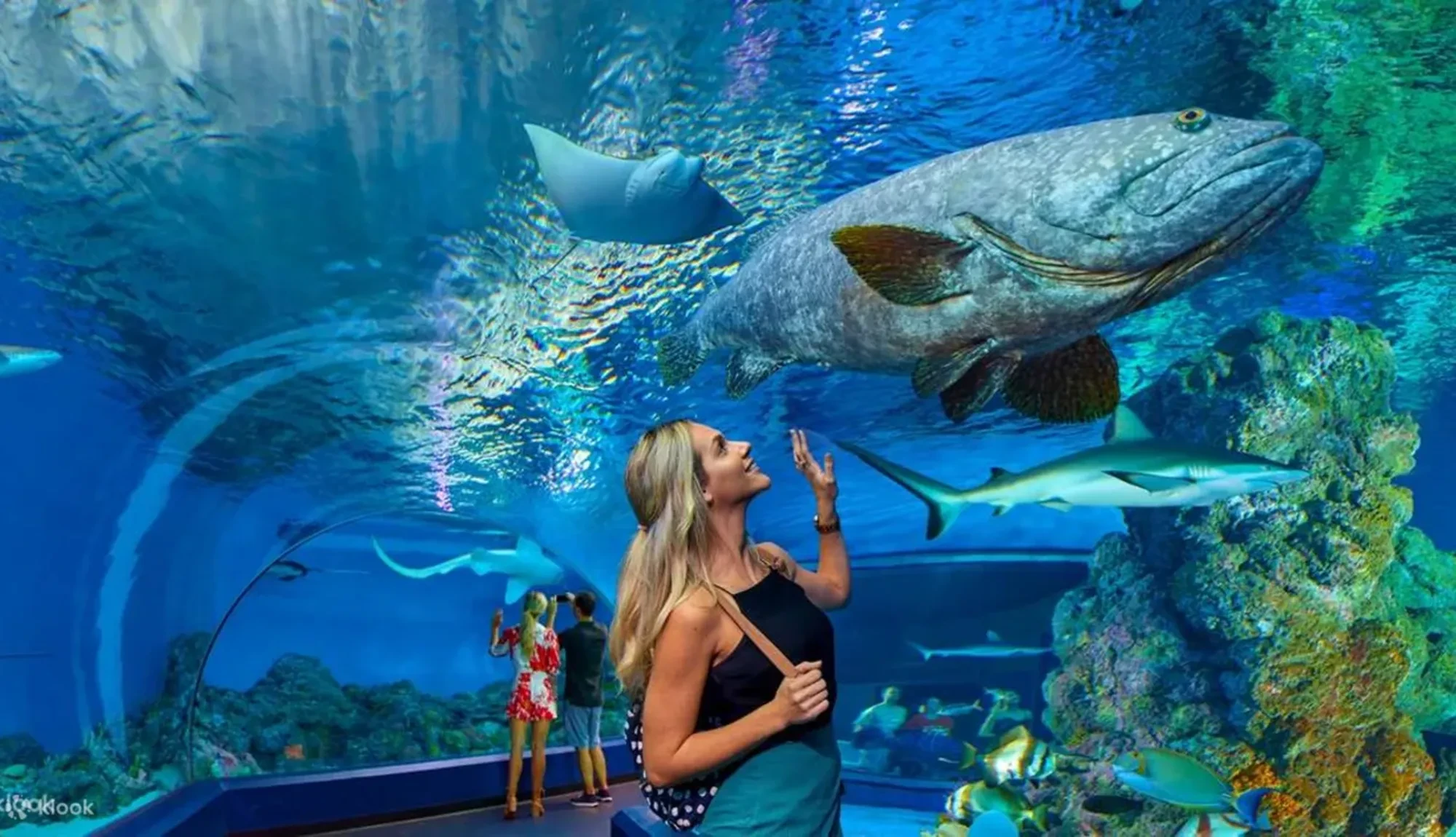Antalya Aquarium Tour from Belek - Image 2