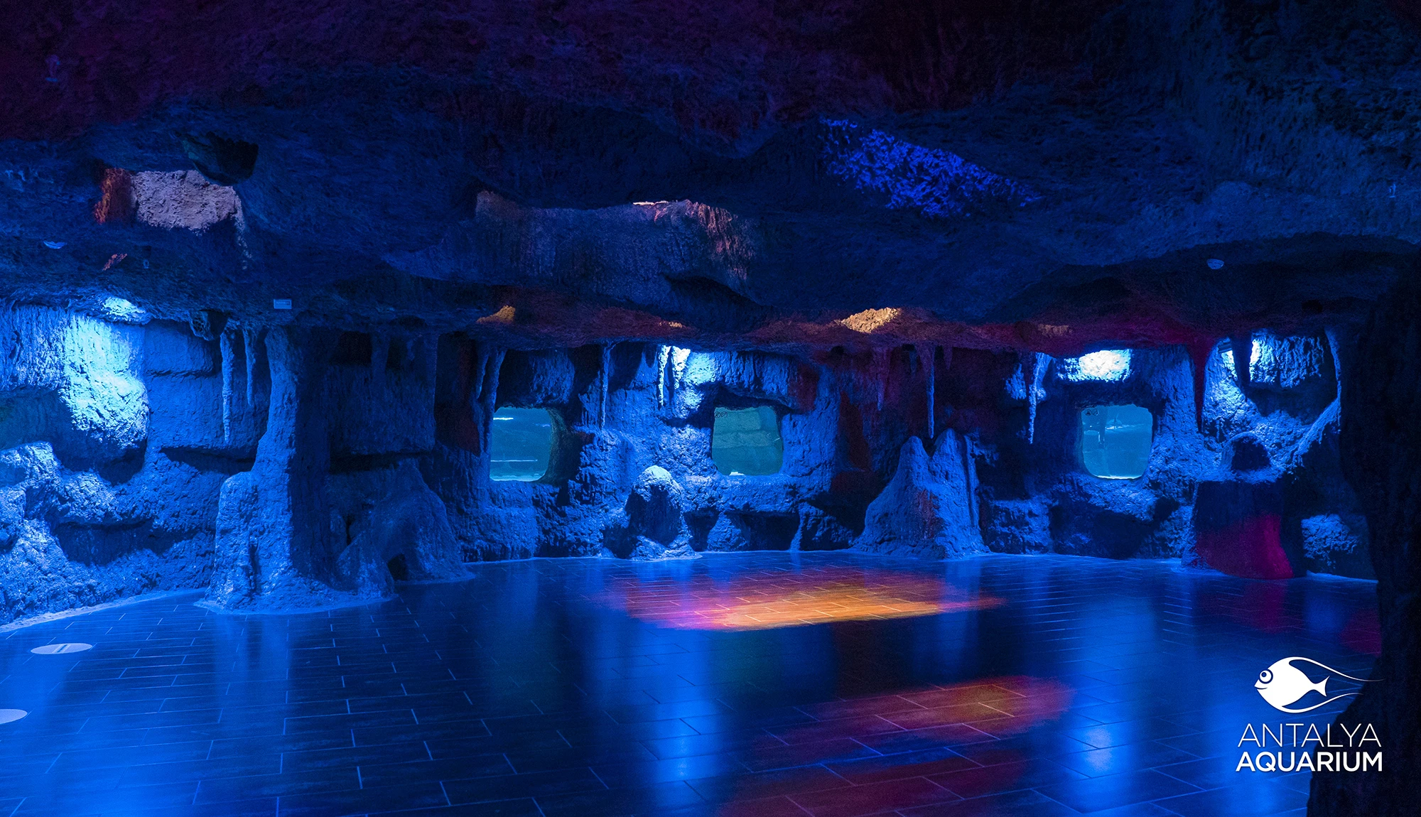 Antalya Aquarium Tour from Belek - Image 22