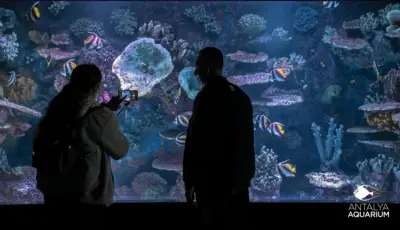 Antalya Aquarium Tour from Belek Tursay Travel 23