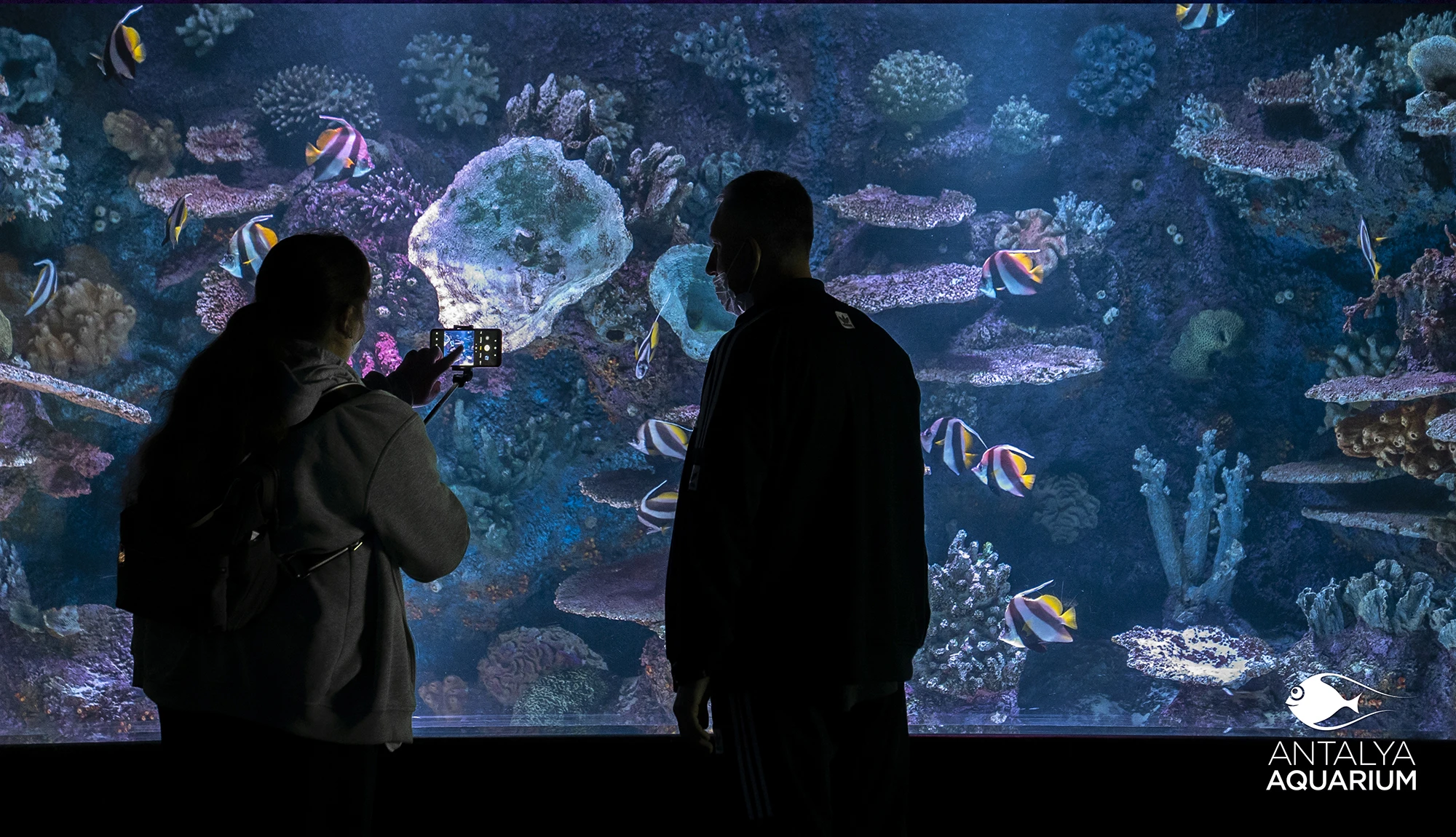 Antalya Aquarium Tour from Belek - Image 23