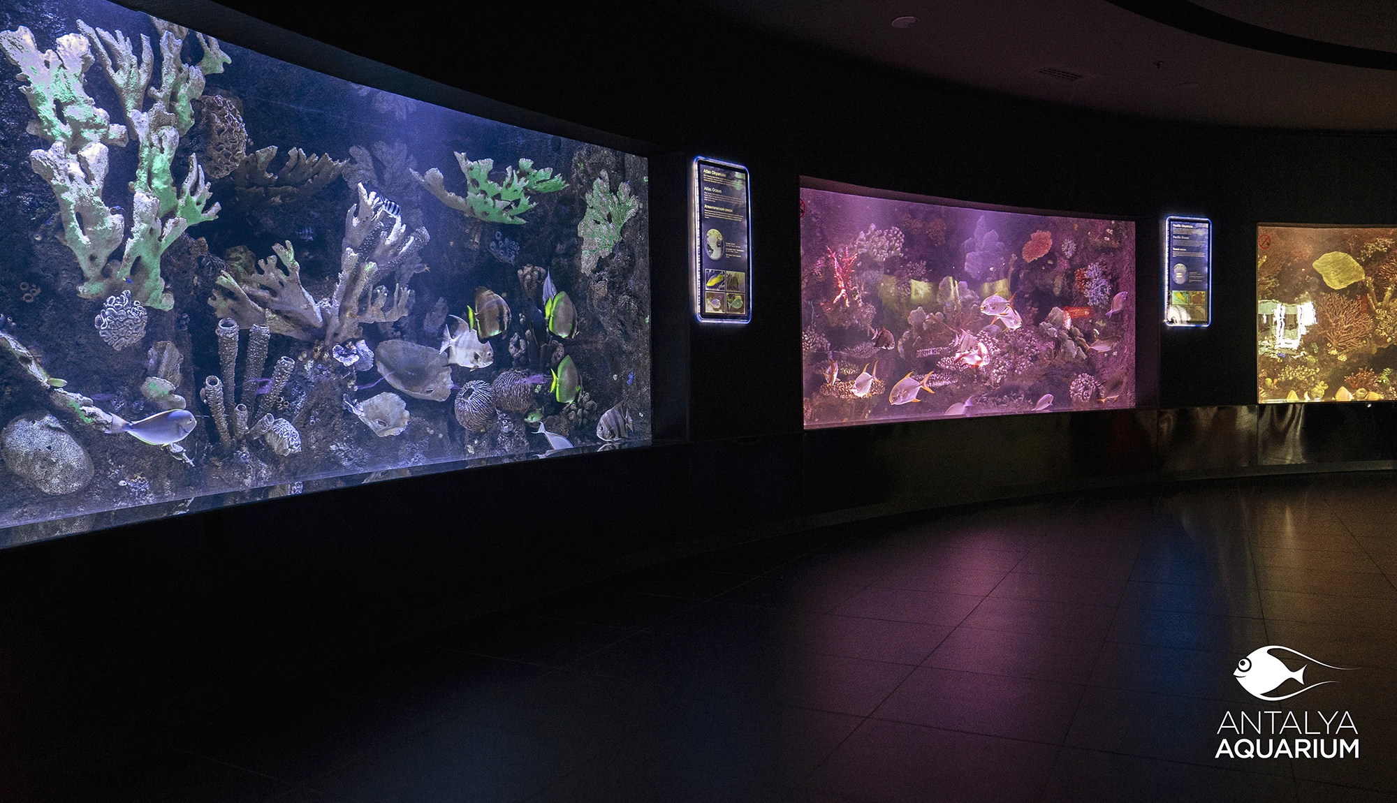 Antalya Aquarium Tour from Belek - Image 24