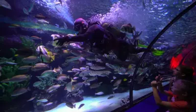 Antalya Aquarium Tour from Belek Tursay Travel 26