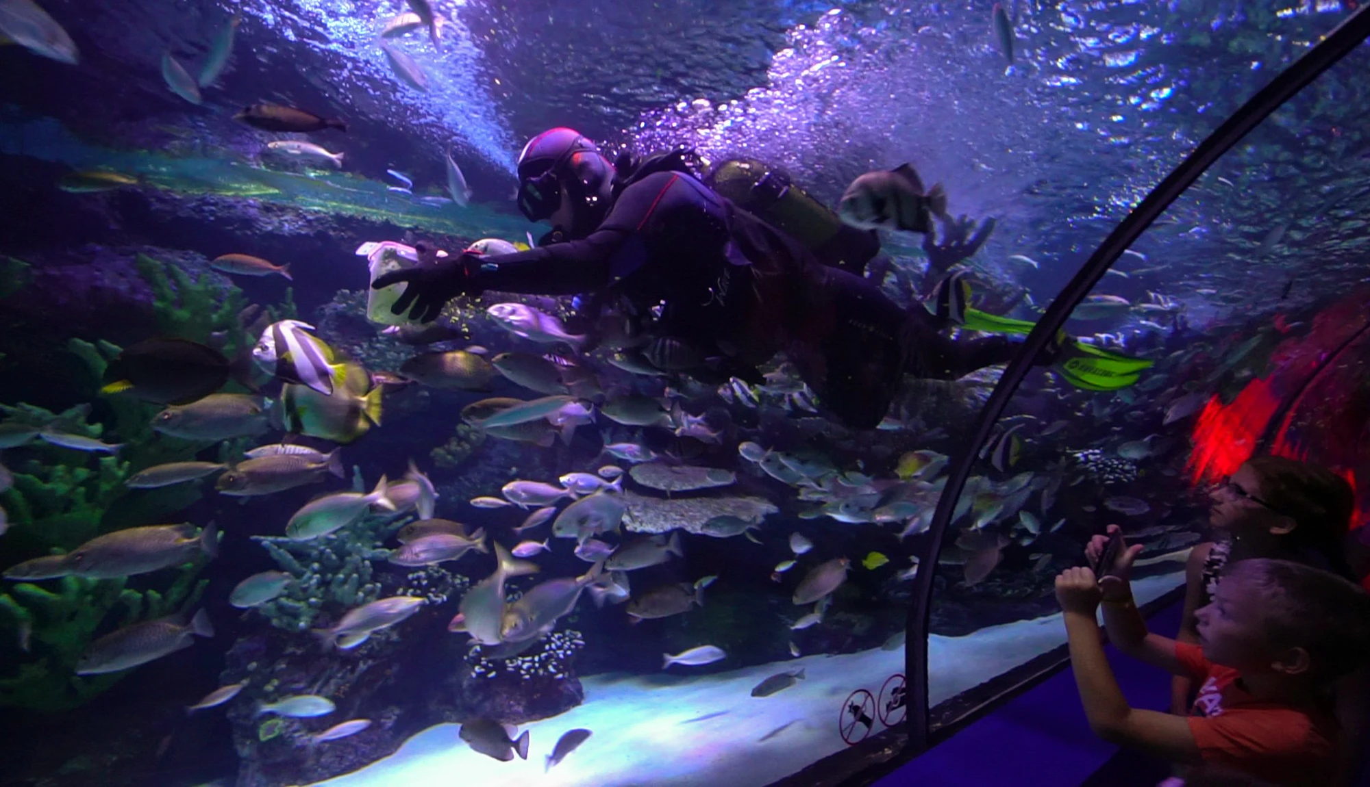 Antalya Aquarium Tour from Belek - Image 26