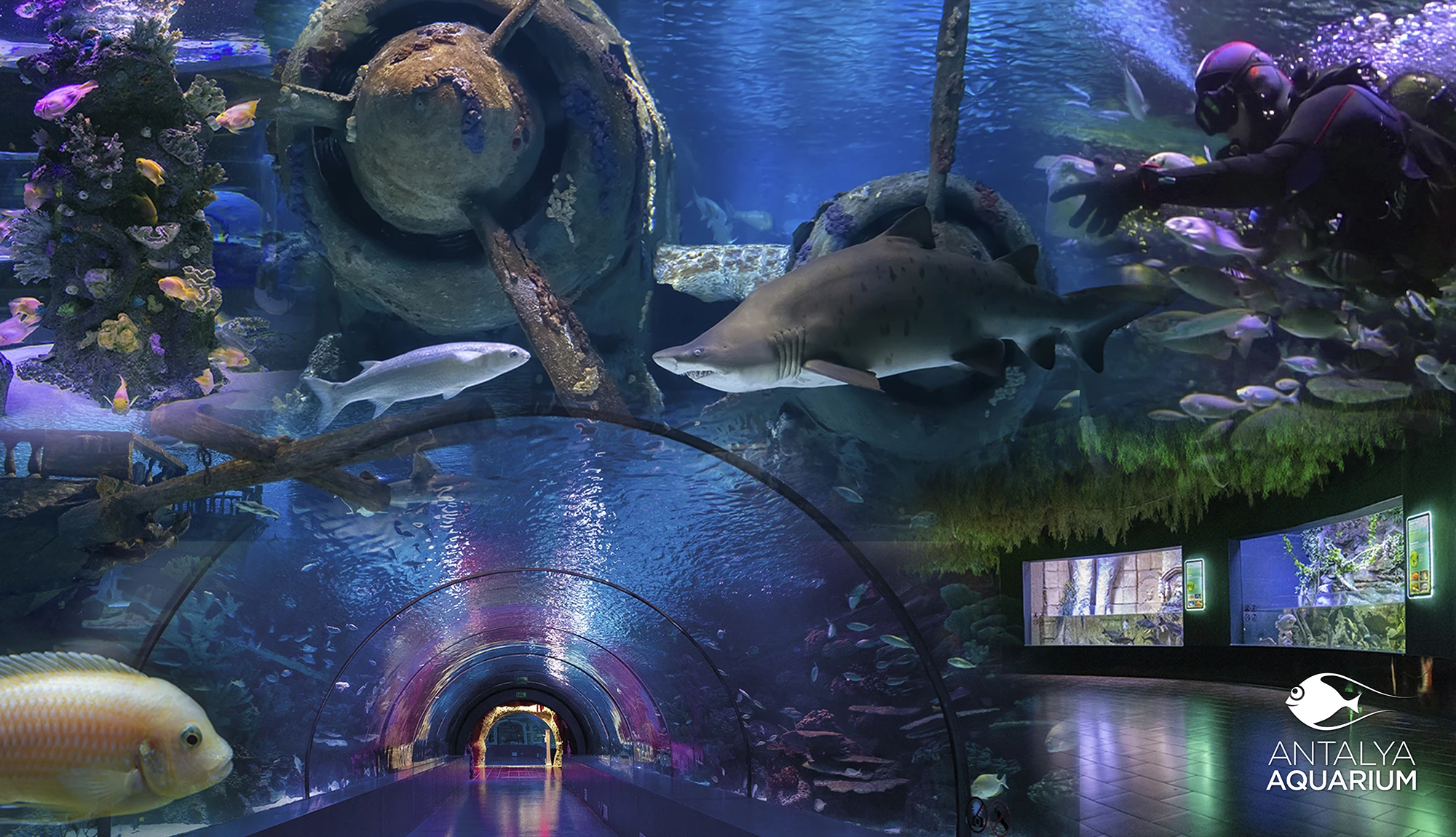 Antalya Aquarium Tour from Belek - Image 28