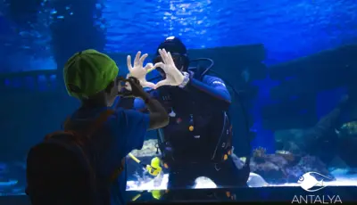 Antalya Aquarium Tour from Belek Tursay Travel 29