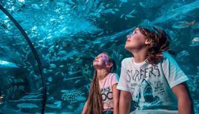 Antalya Aquarium Tour from Belek Tursay Travel 35