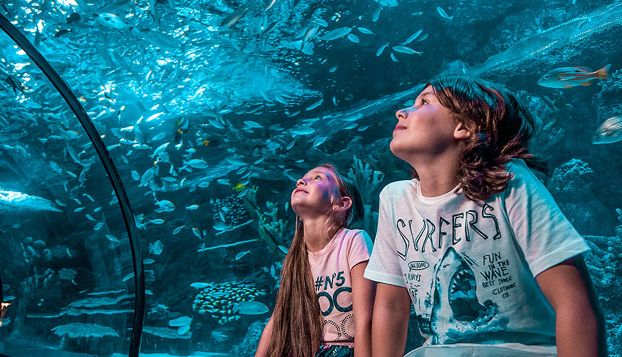 Antalya Aquarium Tour from Belek - Image 35