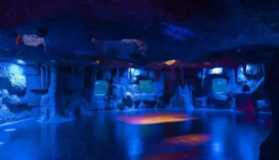 Antalya Aquarium Tour from Belek Tursay Travel 37