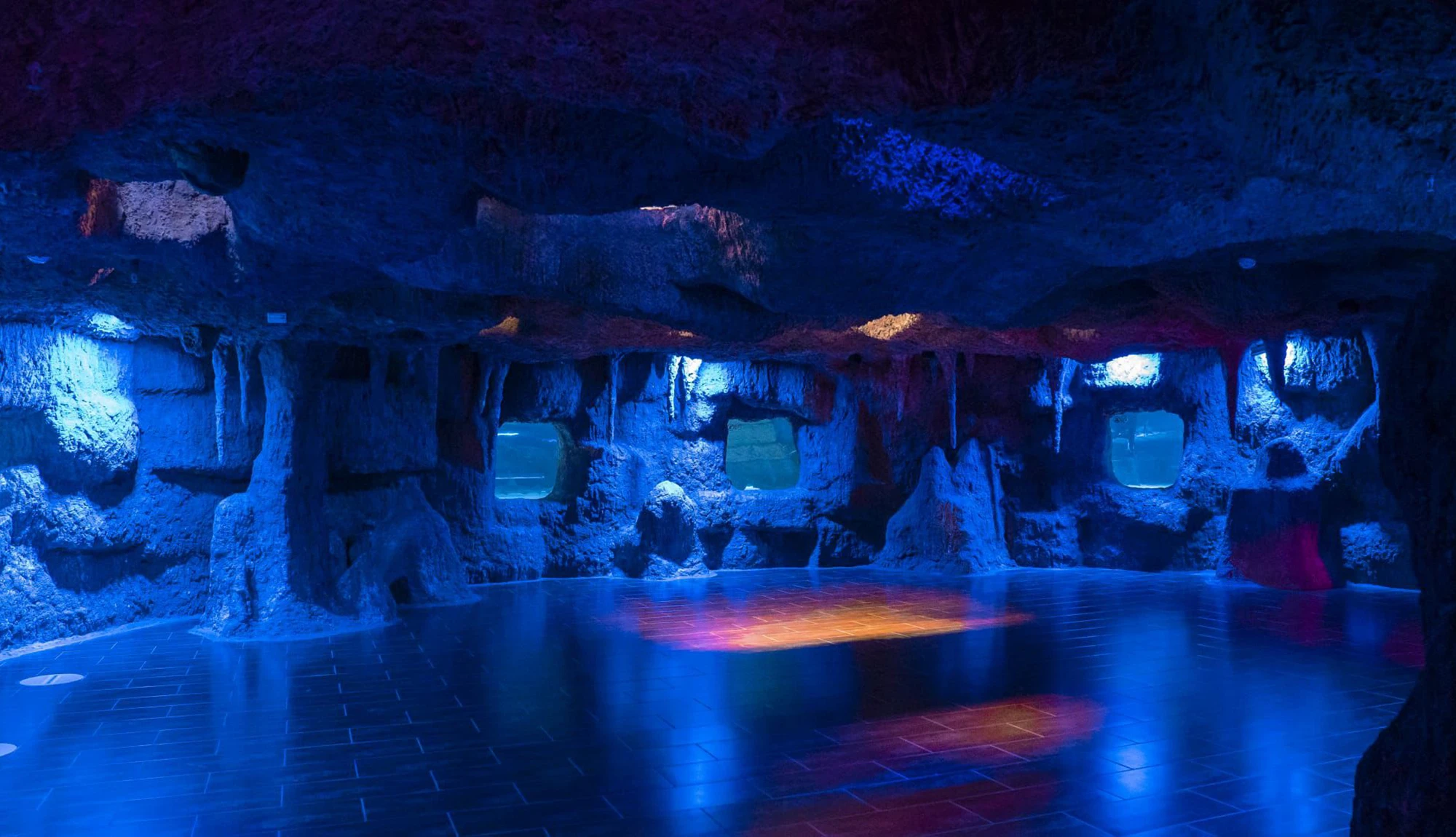 Antalya Aquarium Tour from Belek - Image 37