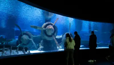 Antalya Aquarium Tour from Belek Tursay Travel 39