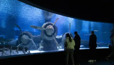 Antalya Aquarium Tour from Belek Tursay Travel 4