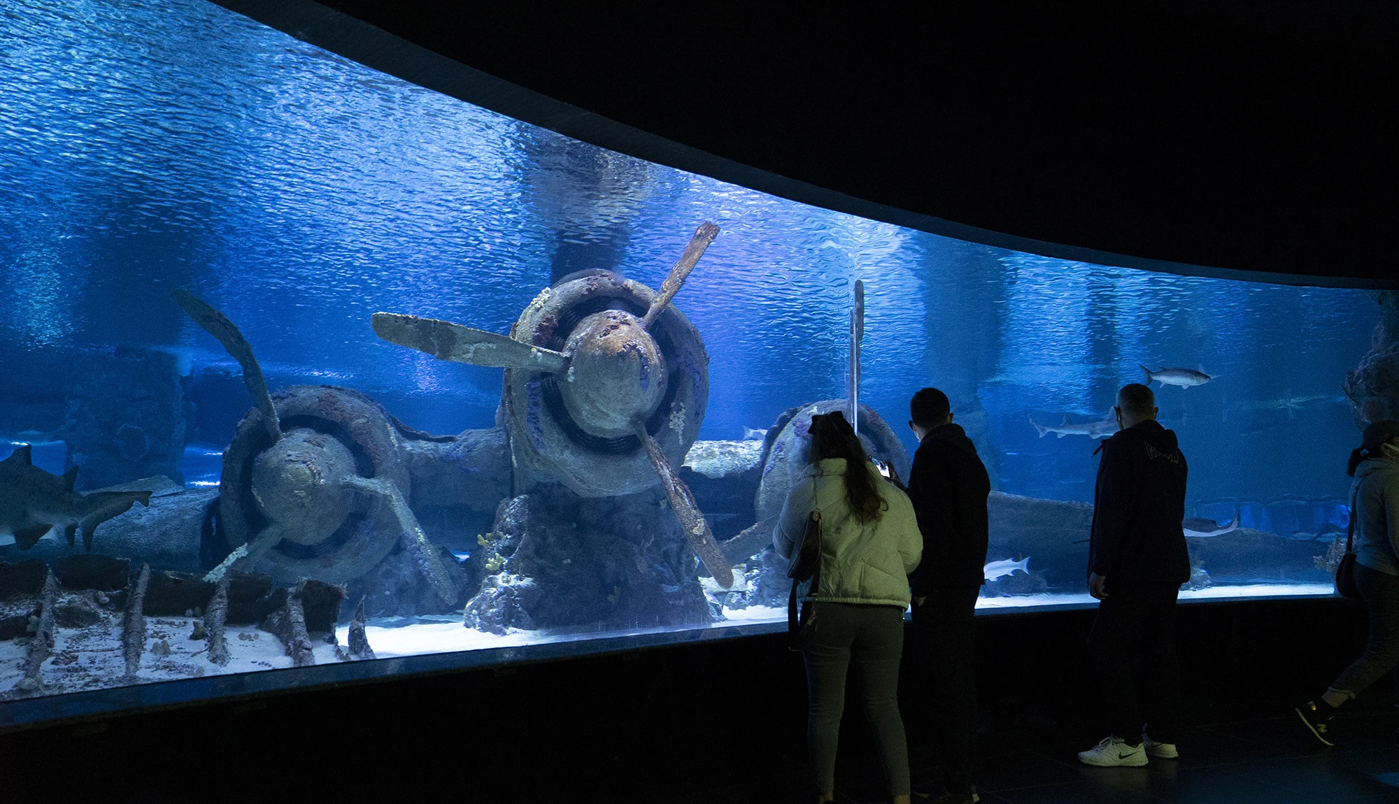 Antalya Aquarium Tour from Belek - Image 4