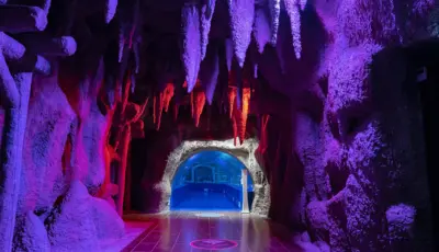 Antalya Aquarium Tour from Belek Tursay Travel 5