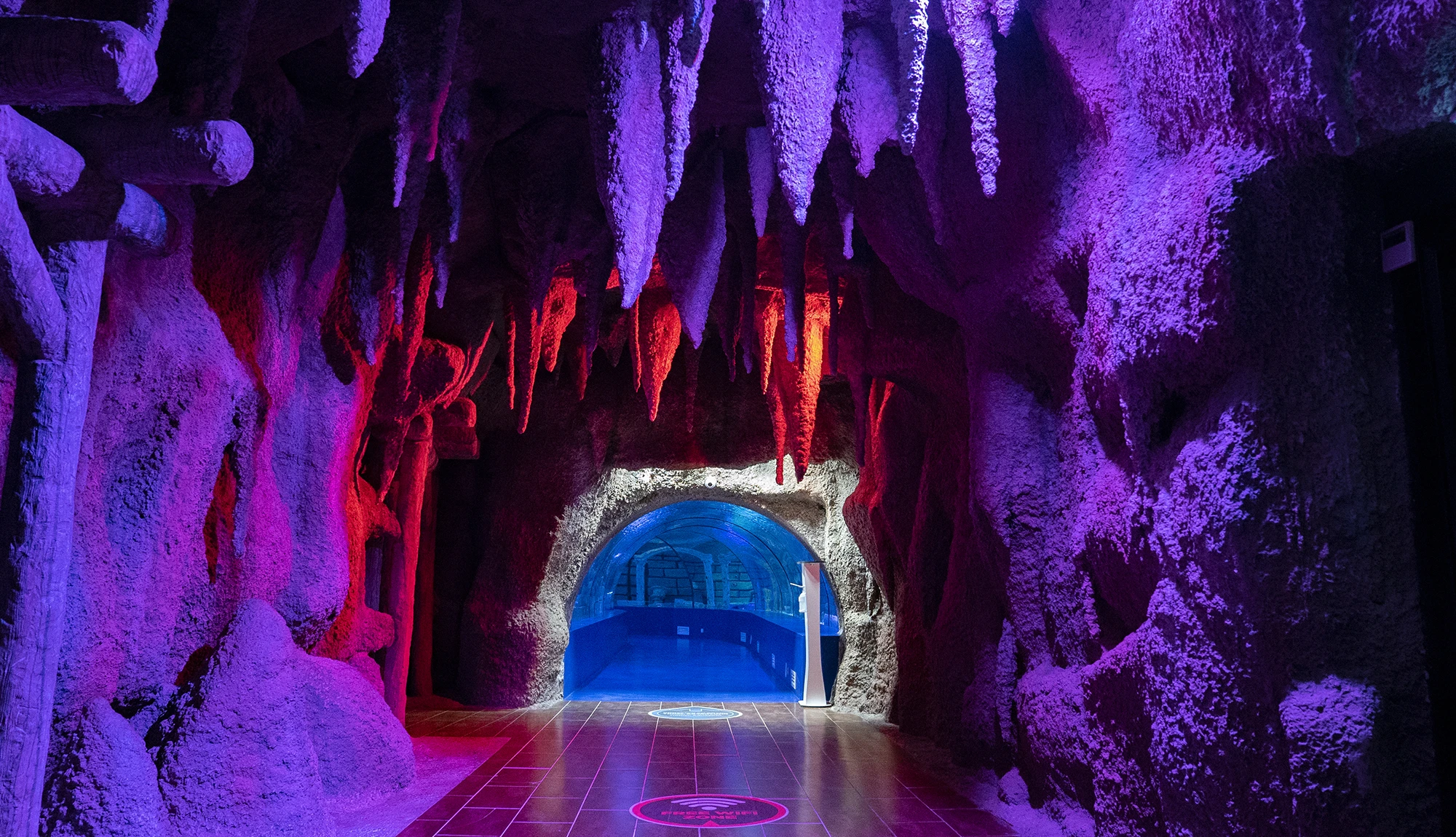 Antalya Aquarium Tour from Belek - Image 5