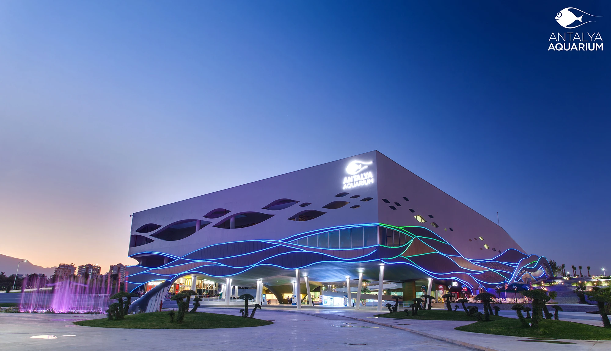 Antalya Aquarium Tour from Belek - Image 6